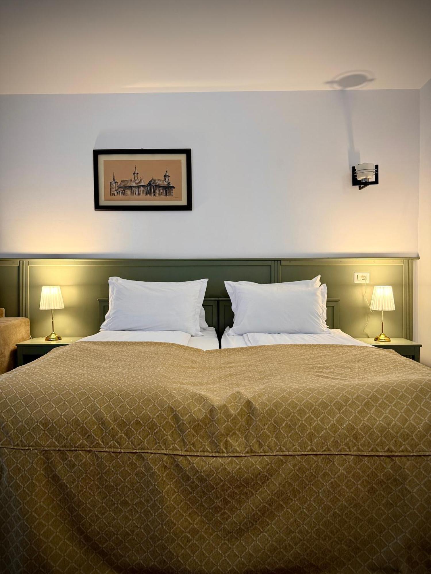 Hotel & Restaurant Sofia Sucevita Luaran gambar